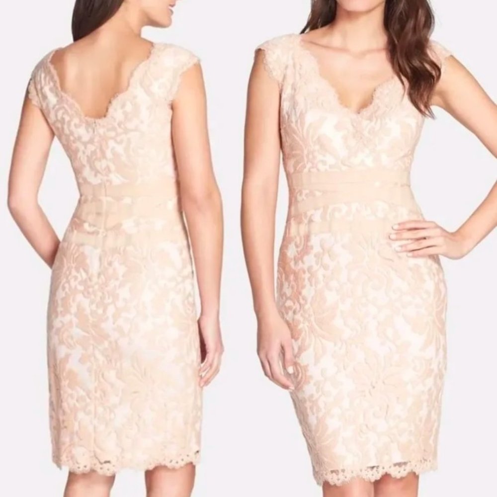NWT Tadashi Shoji Embroidered Lace Sheath Dress Belted Blush Pink